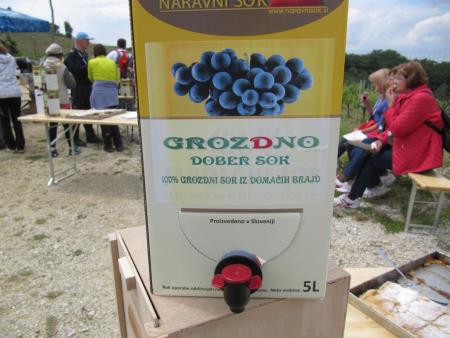 Pomlad v prleških goricah 2013 13